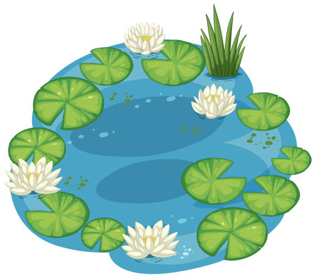 Vector art of a tranquil pond with lily padsのイラスト素材