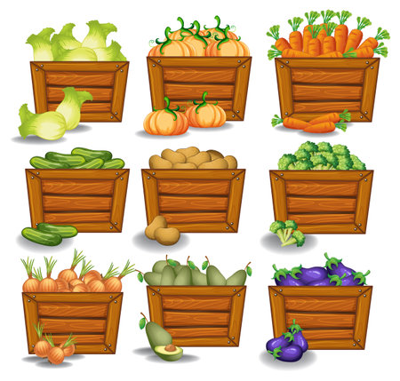 Various fresh vegetables in rustic wooden boxesのイラスト素材
