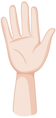 Detailed vector illustration of a human handのイラスト素材