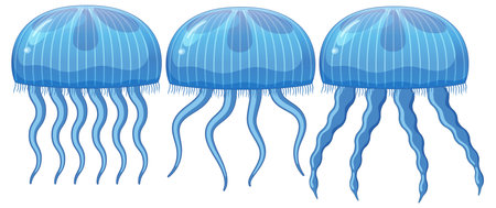 Three blue jellyfish with varying tentaclesのイラスト素材