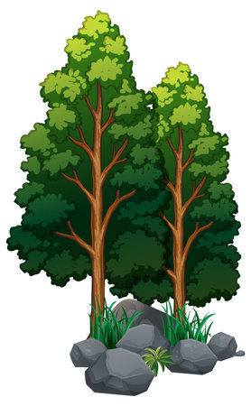 Two trees with rocks and grassのイラスト素材