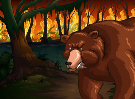 A bear fleeing from a forest fireのイラスト素材