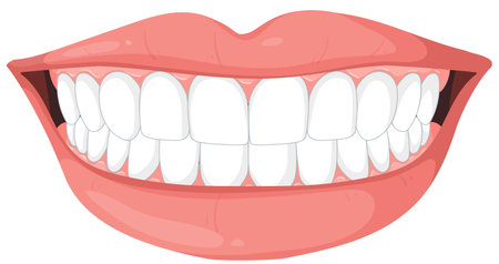 Illustration of a bright, healthy human smileのイラスト素材