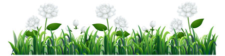 Vector illustration of white clover flowers amidst vibrant green grass. Detailed botanical style with bright, natural colorsのイラスト素材
