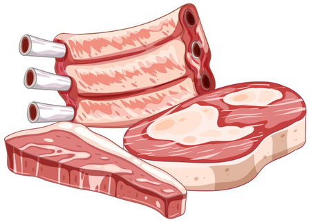 Detailed vector illustration of assorted meat cuts with vibrant colors and clean lines, ideal for culinary projects and food-related designsのイラスト素材