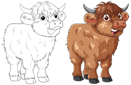 Vector illustration of a smiling Highland cow, shown in both full color and black-and-white outline for coloring activities. Clean lines and vibrant tonesのイラスト素材