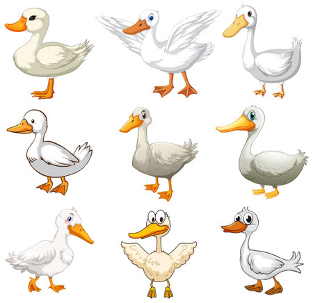 Nine cartoon white ducks in unique poses and expressions on a clean white background.のイラスト素材