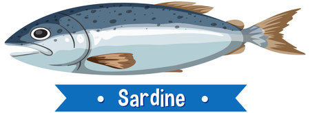 Realistic vector illustration of a blue and silver sardine, highlighting detailed aquatic features and texture.のイラスト素材