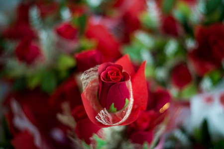 Red Rose, Bouquet of rosesの写真素材