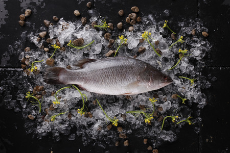 Fresh fish on ice on a black stone