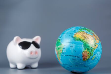 Pig piggy bank with a globe on a gray background