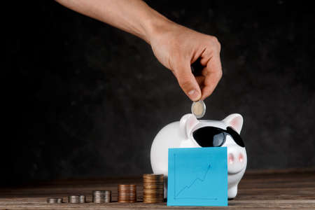 financial investments in a piggy bank. Financial investment growth.の写真素材
