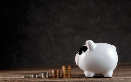 accumulation of money. financial airbag. piggy bank with coinsの写真素材