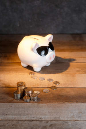 accumulation of money. financial airbag. piggy bank with coinsの写真素材