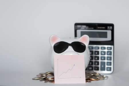 the heyday of financial markets. financial airbag for a future good life. piggy bank with calculator on a white backgroundの写真素材