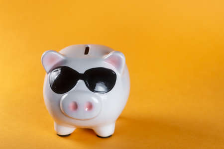 financial savings for a good life. Financial airbag. Piggy bankの写真素材