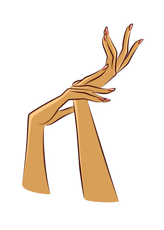 Two graceful women's hands with manicure. Vector, isolated on white backgroundのイラスト素材