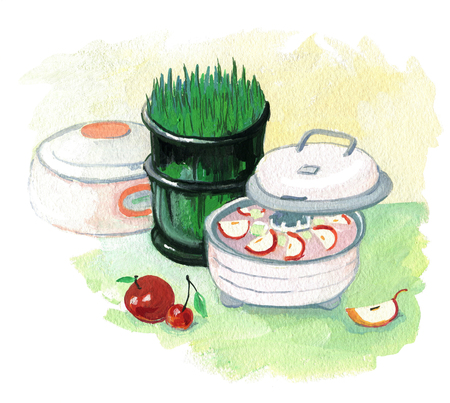 Healthy Diet. Dehydrator and seed germinator. Cherry and apple. Painting with gouache.の写真素材