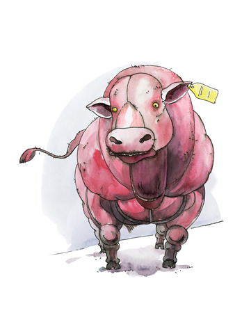 Belgian blue cow. Bull. With a chip in the ear, a front view. Humorous illustration. Watercolor. Isolated on white backgroundの写真素材