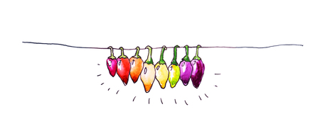 Hot pepper hanging on the rope. Humorous watercolor illustrationの写真素材