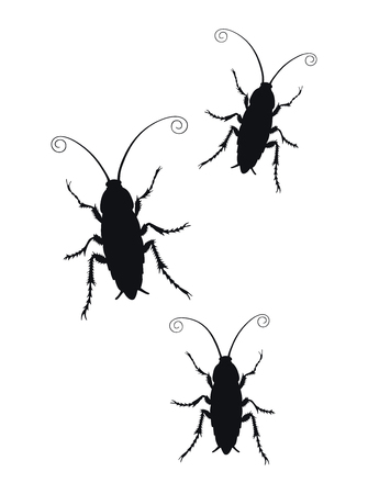 Set of Cockroach silhouette icon isolated on white background. Vector image. Illustration of insect symbol, beautyのイラスト素材