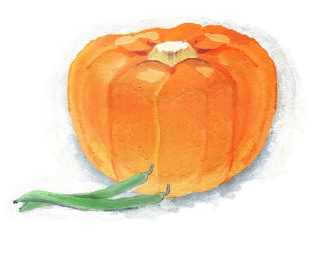 Pumpkin and Beans. Gouache illustration isolated on white backgroundの写真素材