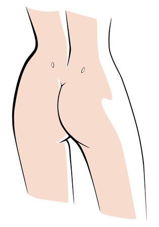 Lovely female butt back view. Vector linear illustration.のイラスト素材
