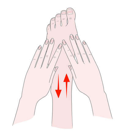 Foot massage. Bunion. Hallux valgus or bunion formation of the foot. Female hands massage the foot. Kneading and prevention of diseases of the bones of the thumb. Vector illustrationのイラスト素材
