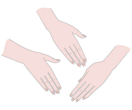 Gestures. Palm Woman's hand on the back. Vector. Isolated on a white background.のイラスト素材