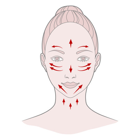 Chinese massage with Gua Sha stones. Lines of massage on the face, vector illustrationのイラスト素材