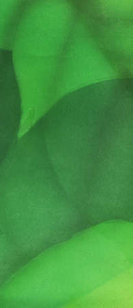 Watercolor paper texture. Green fog and glow. Airbrushing and spraying. Mood for backgroundの写真素材