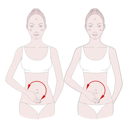 Half-figure of a girl. Self-massage of fatty deposits in the abdomen. Vector illustration.のイラスト素材