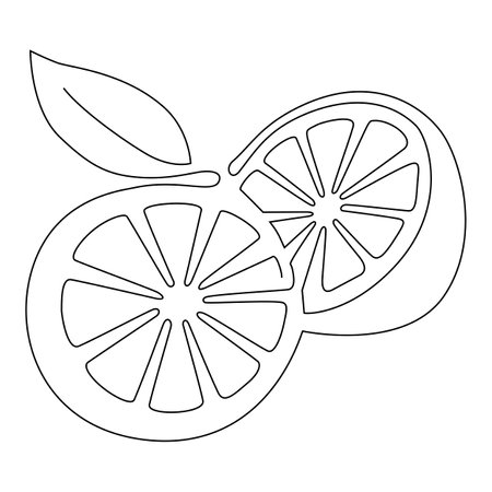 Citrus fruits in a cut. Juicy lemon. Continuous line drawing. Vector illustration.のイラスト素材