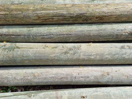 Stacked pine logs treated for mold, fungus and rot. Fields for equipment. Low quality lumber....