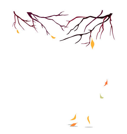 Branches without leaves autumn trees. falling leaves. Vector illustration isolated on white backgroundのイラスト素材