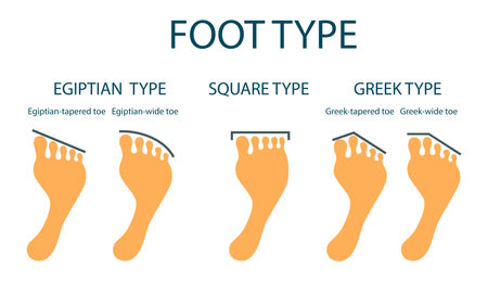 Anatomical shape of human toes. Footprint set. Humor. Vector illustration, isolated on white background, flat designのイラスト素材