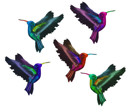 Small motley bird sits, color graphics in pastel, isolated on a white backgoundの写真素材