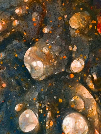 House of mold. Texture of mold and cobwebs. Tunnels of microworld space. For the background. Selective focusの写真素材