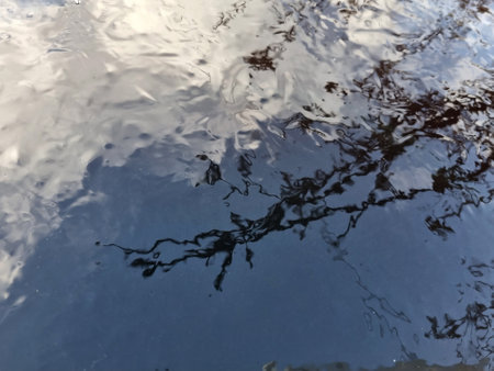 Reflection in icy water. Optical distortion of trees and blue sky with clouds, winter mood for background. Selective focusの写真素材