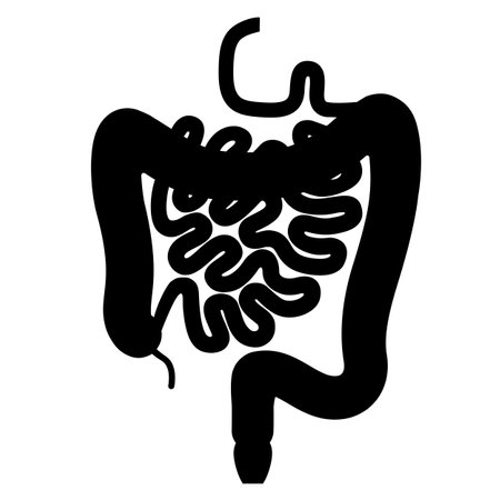 Human intestines, silhouette, flat design, vector illustrationのイラスト素材
