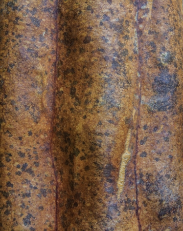 Old luffa gourd texture backgroundの写真素材