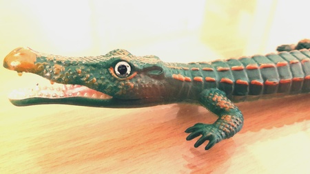 A toy alligatorの素材