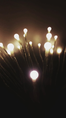 Low light light bulbs setting on dark backgroundの素材