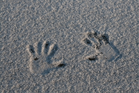 Hand prints in snow 