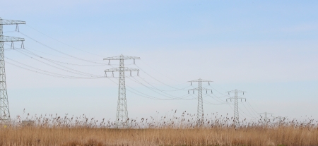Power lines in a natural environment の写真素材