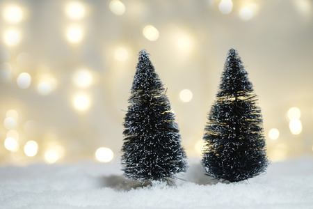 Winter background pine trees and blur bokeh. Christmas background concept.の写真素材