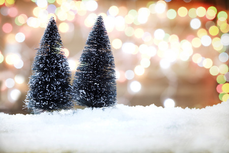 Winter background pine trees and blur bokeh. Christmas background concept.の写真素材