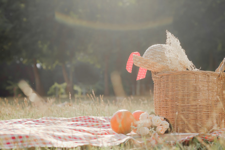 Outdoor picnic at the summer sunny day. Vacation leisure lifestyle concept.の写真素材