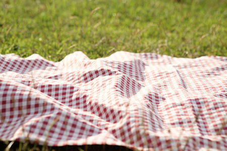  spread Scott pattern on green glasses in the graden park. Vacation laisure concept. Relaxation weekend outdoor.の写真素材