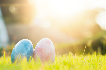 Copy space background of Easter eggs in Fresh Green Grass.